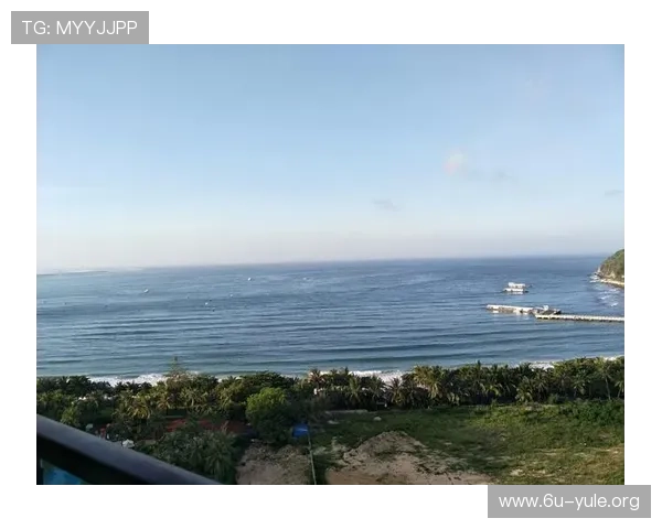 菲彩国际：引领彩妆行业的创新先锋，打造多彩生活新体验